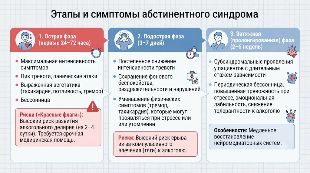 Инфографика «Этапы и симптомы абстинентного синдрома», разделенная на три фазы: острую (первые 24–72 часа с максимальной интенсивностью симптомов и риском делирия), подострую (3–7 дней со снижением тревоги и риском срыва) и затяжную (2–6 недель с субсиндромальными проявлениями)